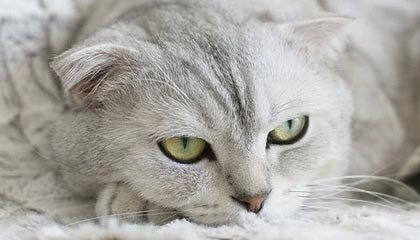 米乐M6：让科技以人为本的日常伙伴